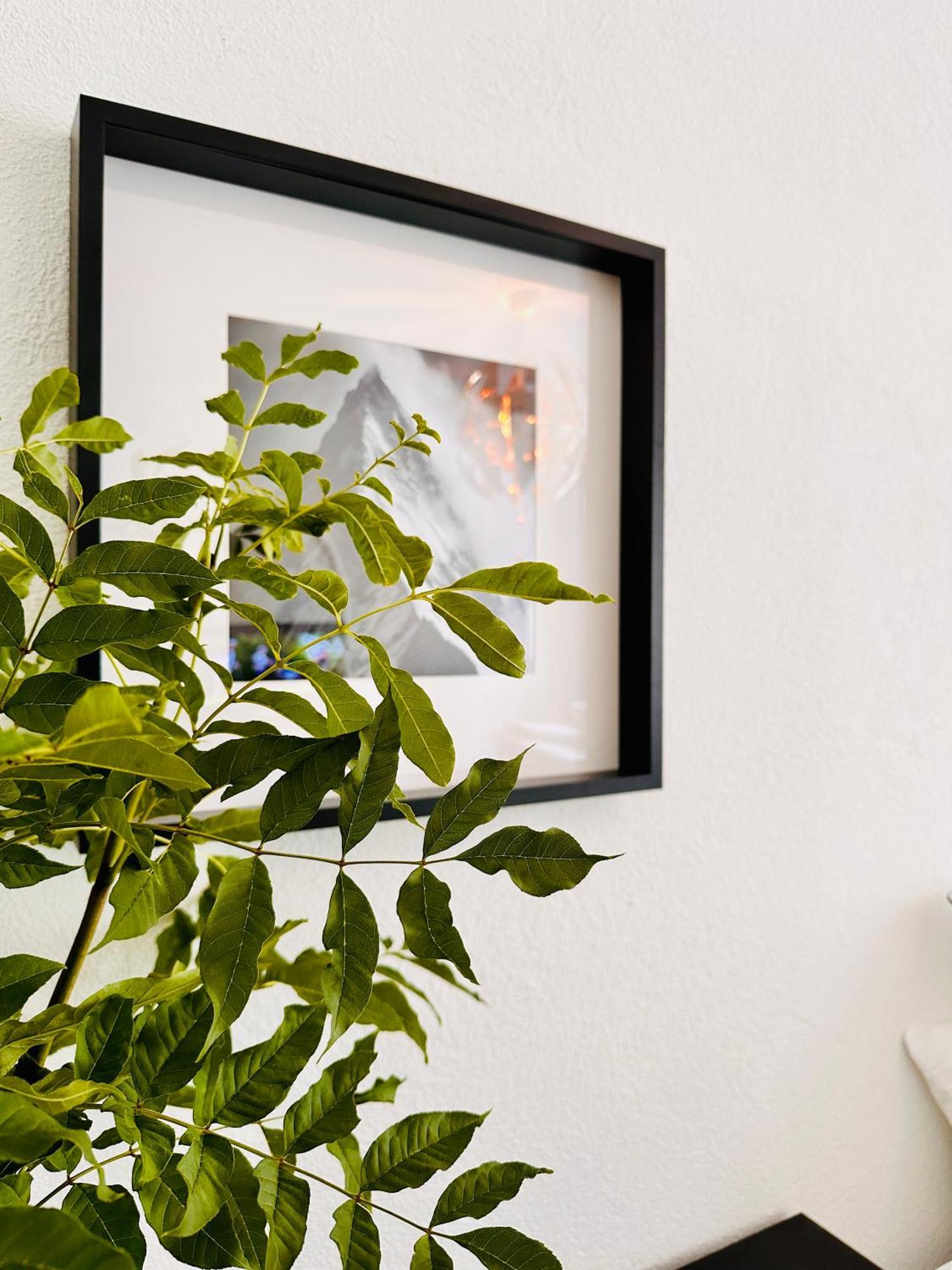 Schoene Ferienwohnung Schottwien Extérieur photo